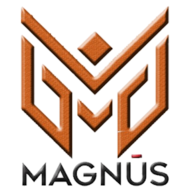go-magnus.com